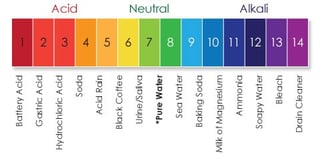 Total Alkalinity vs. pH, and their role in water chemistry