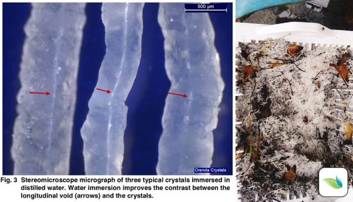 Calcite crystals under a microscope