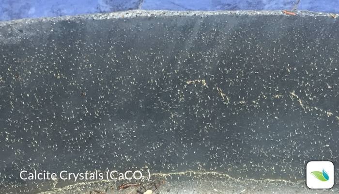 Calcite crystals underwater (2)