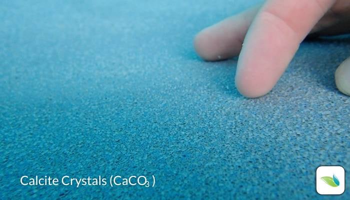 Calcite crystals underwater