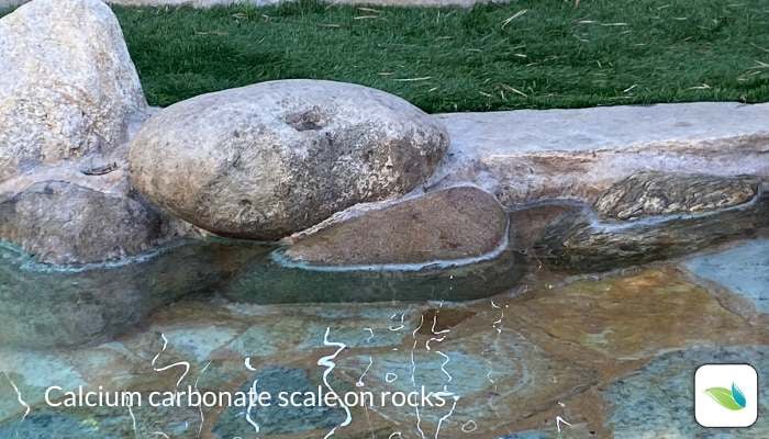 Calcium carbonate scale on swimming pool rocks