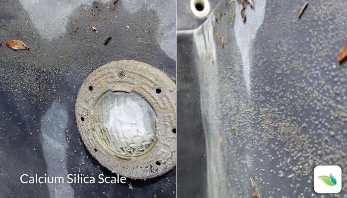 Calcium silica scale on pool plaster and underwater light