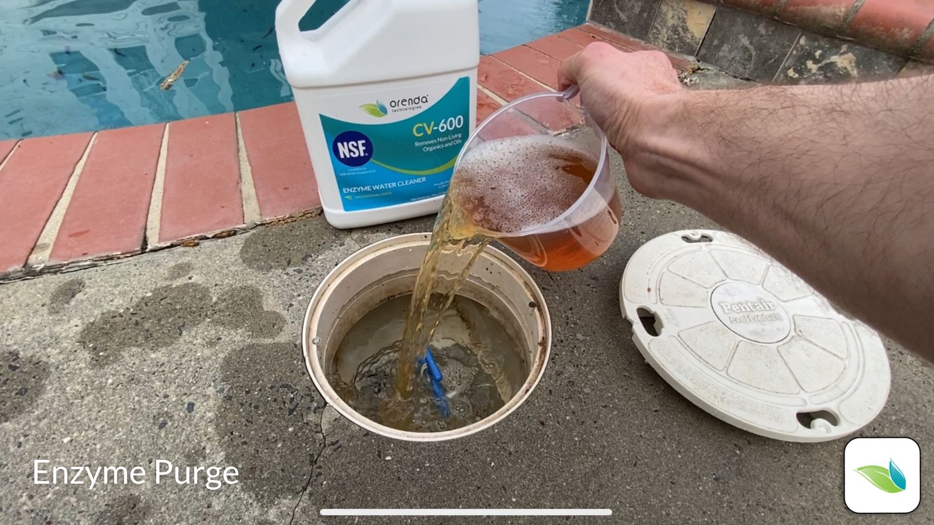 Orenda purge, CV-600 enzymes into swimming pool skimmer, remove non-living organics and hydrocarbons, water clarity