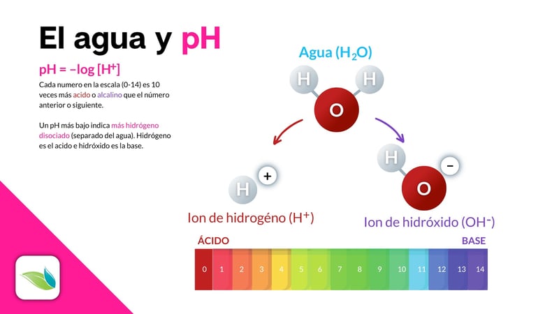 Grafica de H2O y el pH