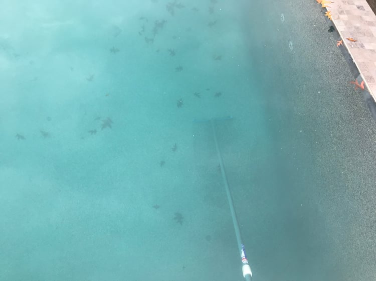 3 Types of Calcium Dust in Swimming Pools