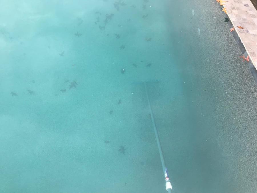 3 Types of Calcium Dust in Swimming Pools