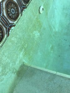 IMG_0040-e1490195175291-225x300