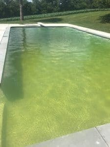 copper green pool