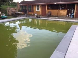 copper green pool, green from copper