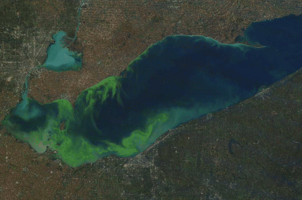 Phosphates, Algae, and Chlorine Demand