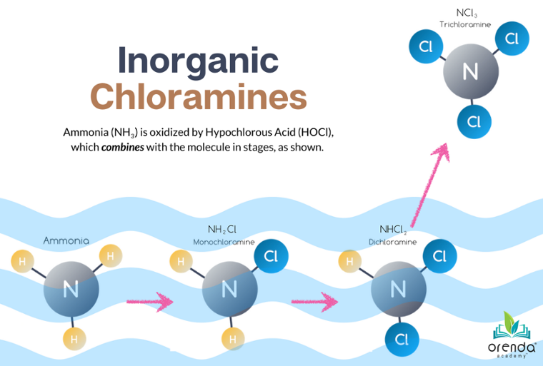 Inorganic Chloramines illustration