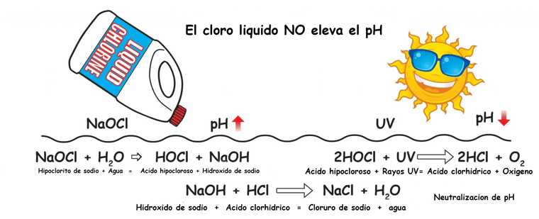 Lowry liquid chlorine HOCl becomes HCl Spanish