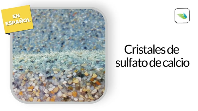 cristales de sulfato de calcio
