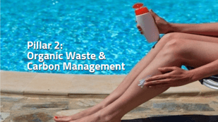 Pillar 2 - Organic waste and carbon management