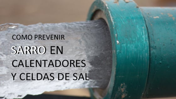 Prevenir sarro