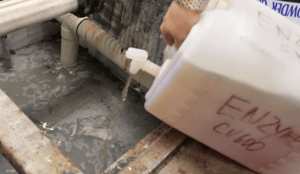 orenda enzyme, orenda filter, pool filter cleaning, orenda filter purge