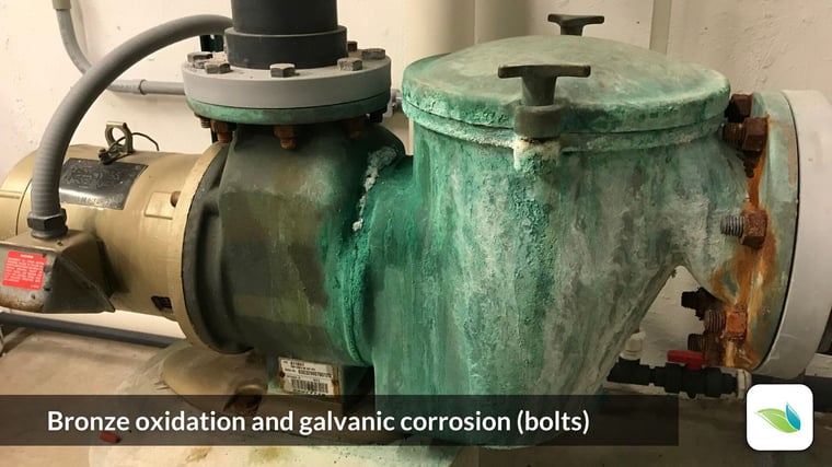 bronze pool pump corrosion, oxidation, galvanic corrosion with bolts