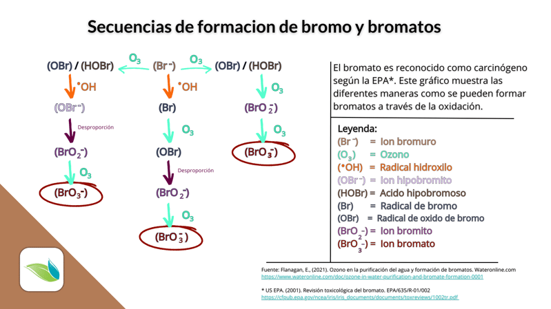 bromine and bromate byproducts spanish