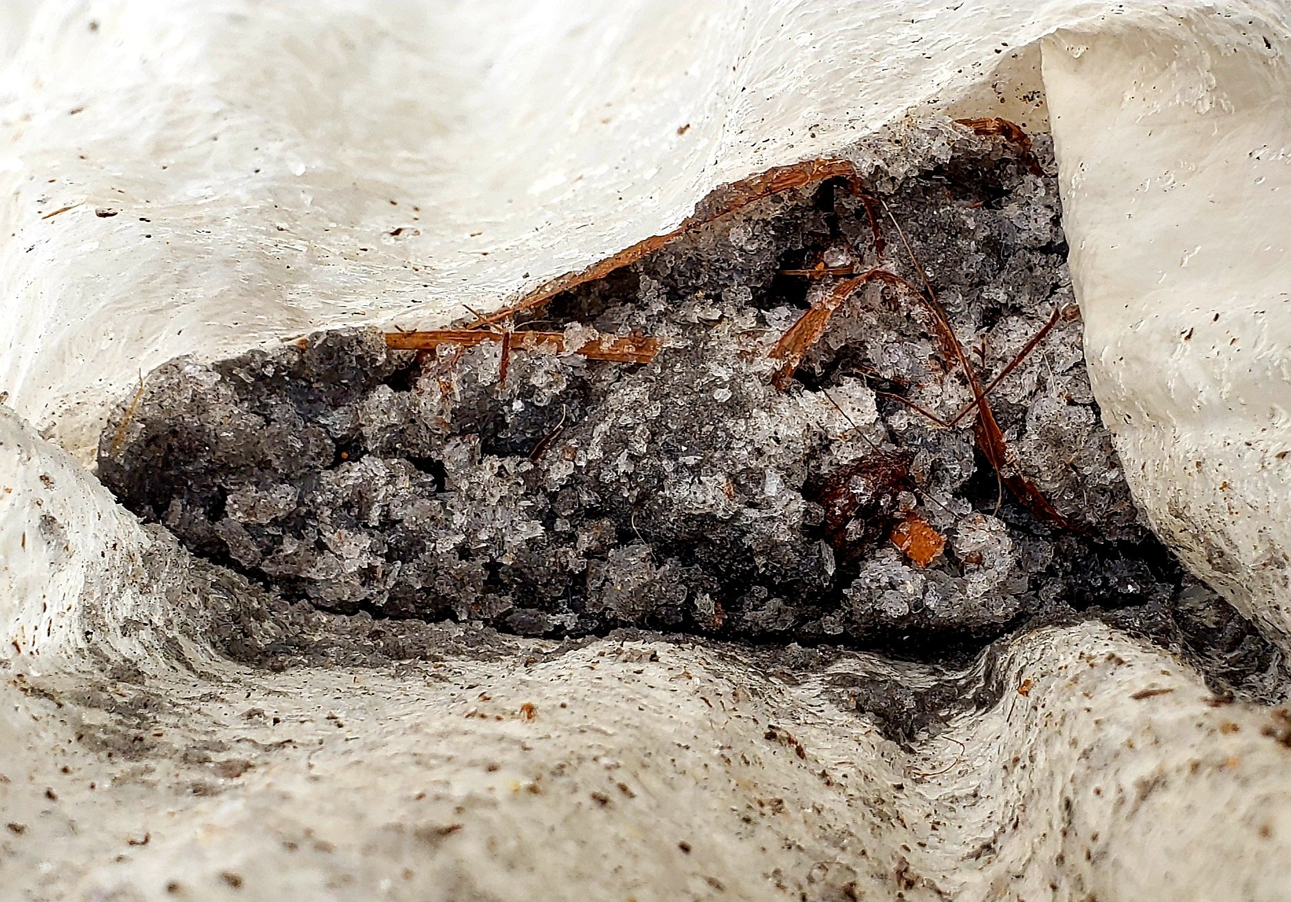 calcium flakes, shaved ice in pool, calcium carbonate, white flakes in salt pool