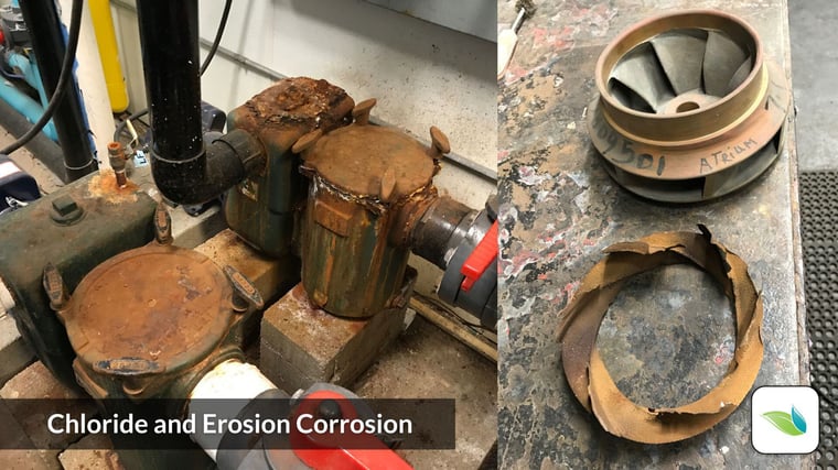 chloride corrosion on commercial pool pump housing and strainer, erosion corrosion on pool pump impeller, brass impeller corrosion