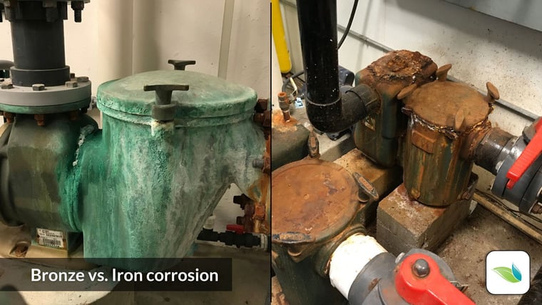 bronze pool pump corrosion compared to cast iron pool pump corrosion rust