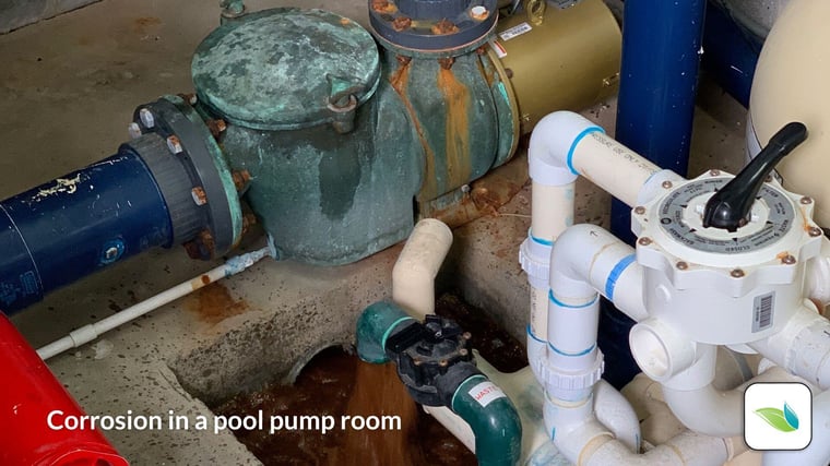 sulfate induced corrosion of a brass pool pump and stainless steel screws, sulfuric acid fumes corrode metal in pool pump rooms