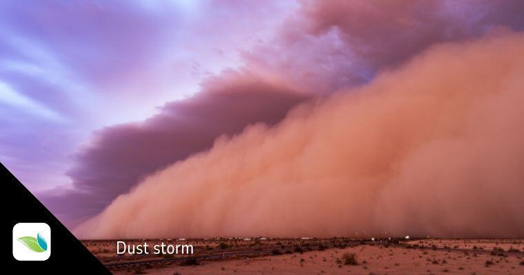 haboob dust storm, desert dust storm, Dust in swimming pools