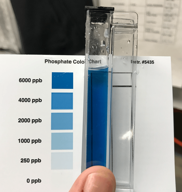 phosphate test kit, taylor phosphate test, high phosphates in pool