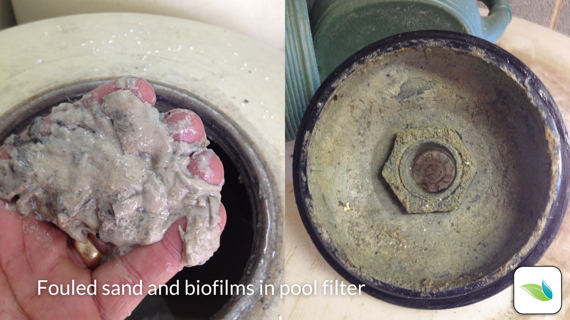 fouled filter sand, biofilms in commercial swimming pool filter