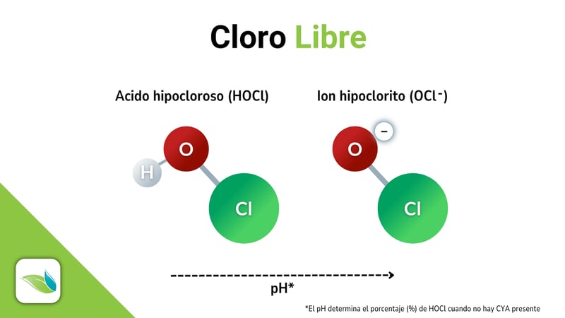 free chlorine graphic, HOCl, OCl- (spanish)