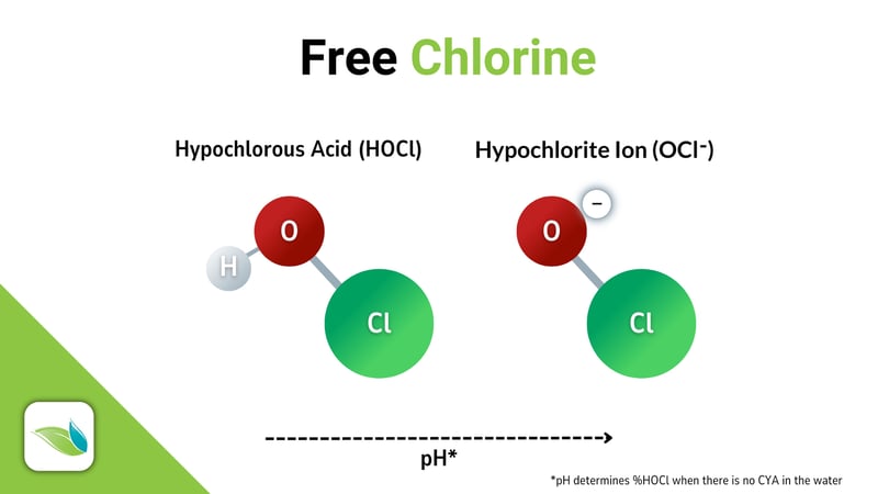 diagram of free chlorine in both forms, Hypochlorous acid (HOCl) and Hypochlorite ion (OCl-). Orenda education