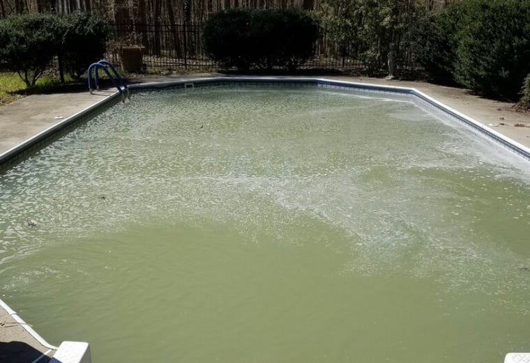 green pool after SLAM chlorine shock and algaecides. Not clean yet, still cloudy and ugly.
