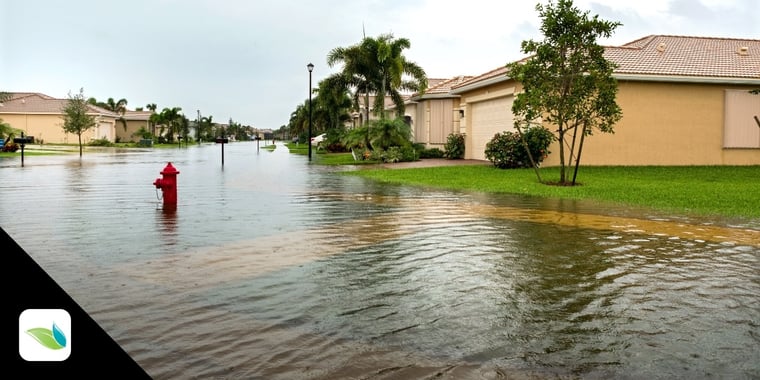 hurricane flooded neighborhood street