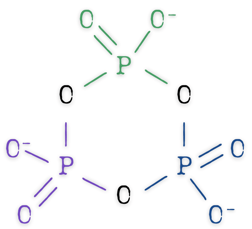 metaphosphate molecule structure, a ring of at least 3 PO4 units