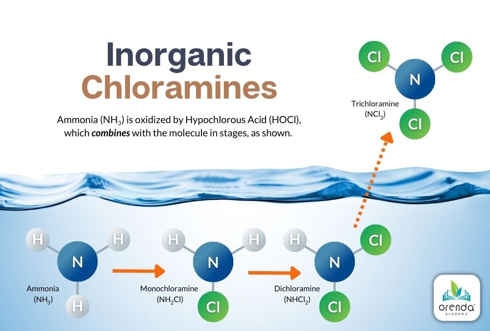 Orenda diagram of inorganic chloramine creation, from ammonia to monochloramine, dichloramine, then trichloramine