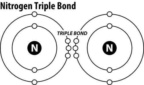 nitrogen bond, N2, nitrates, nitrites, pool chemistry