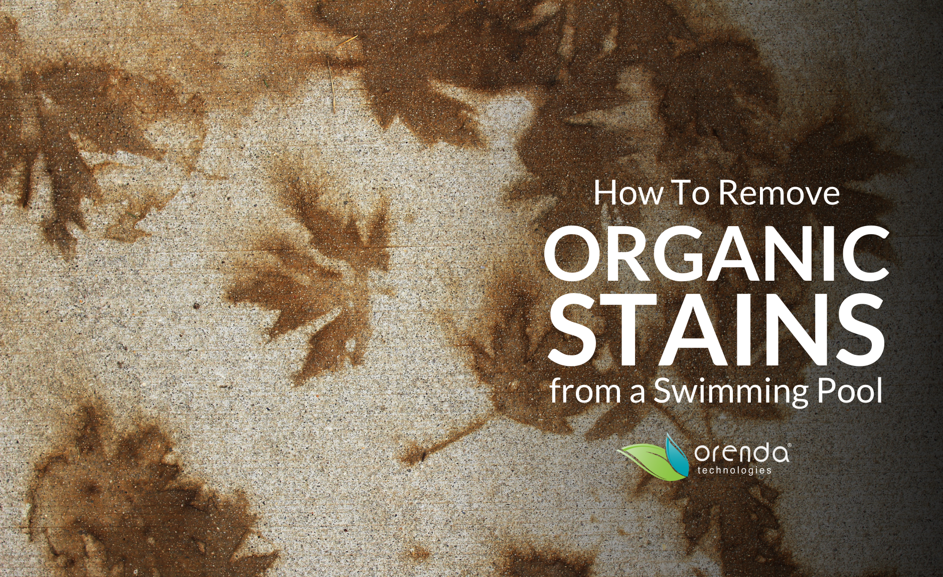 organic staining in pool, leaf stains on concrete pool, tannin staining in pool