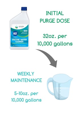 purge and maintenance
