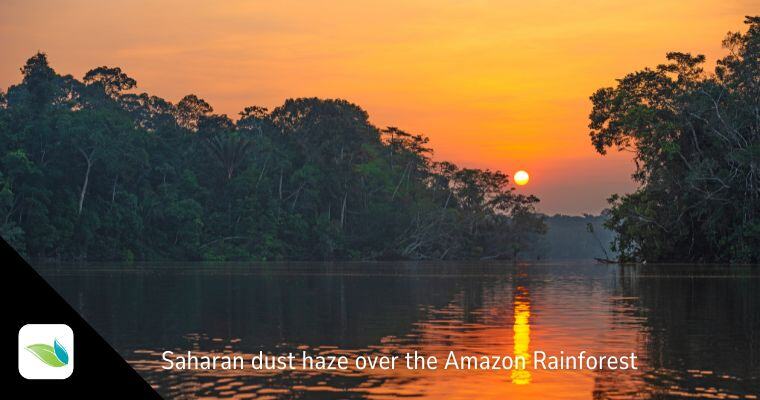 the amazon rainforest at dusk with orange skies thanks to saharan dust in the air