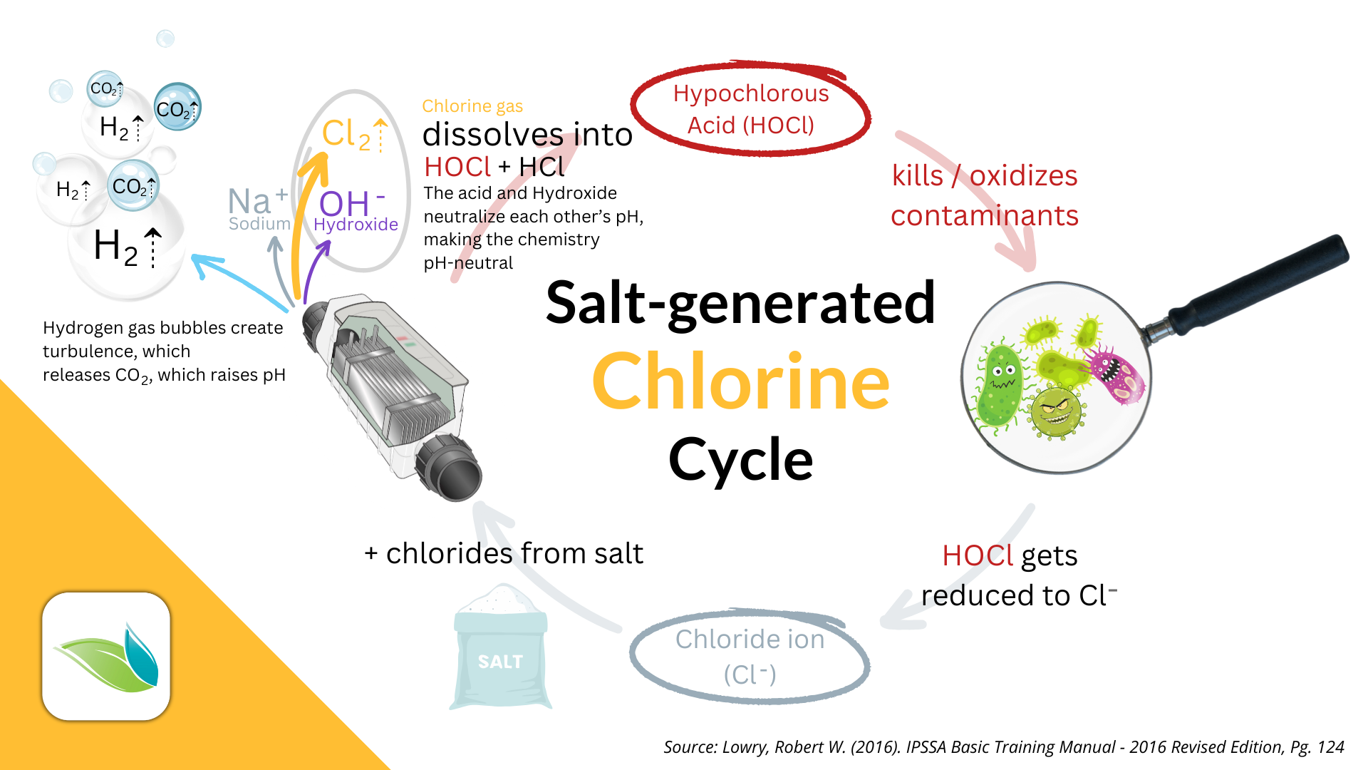 salt generated chlorine cycle in pools, salt pool, chlorine generator, how salt pools work, orenda