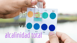 spanish- pHvs.total alkalinity