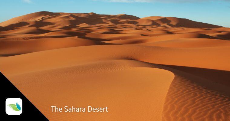 the sahara desert