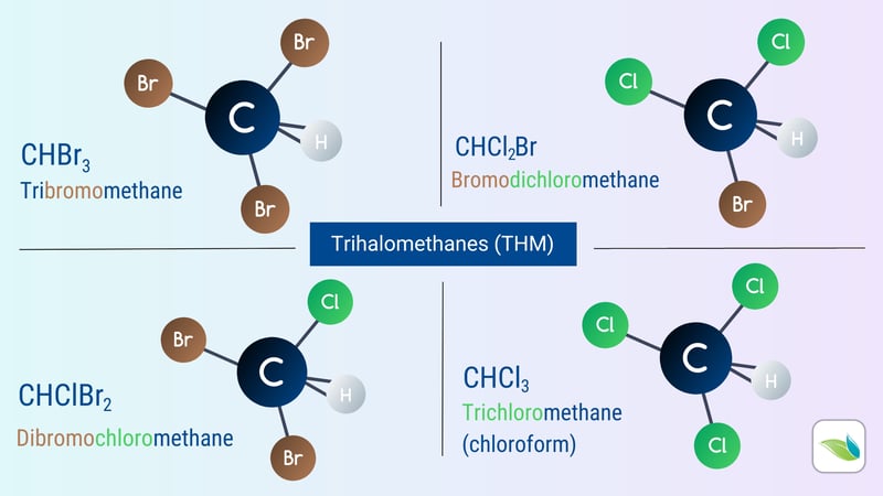 trihalomethanes (THM)