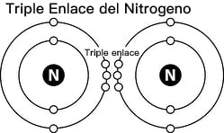 triple-enlace