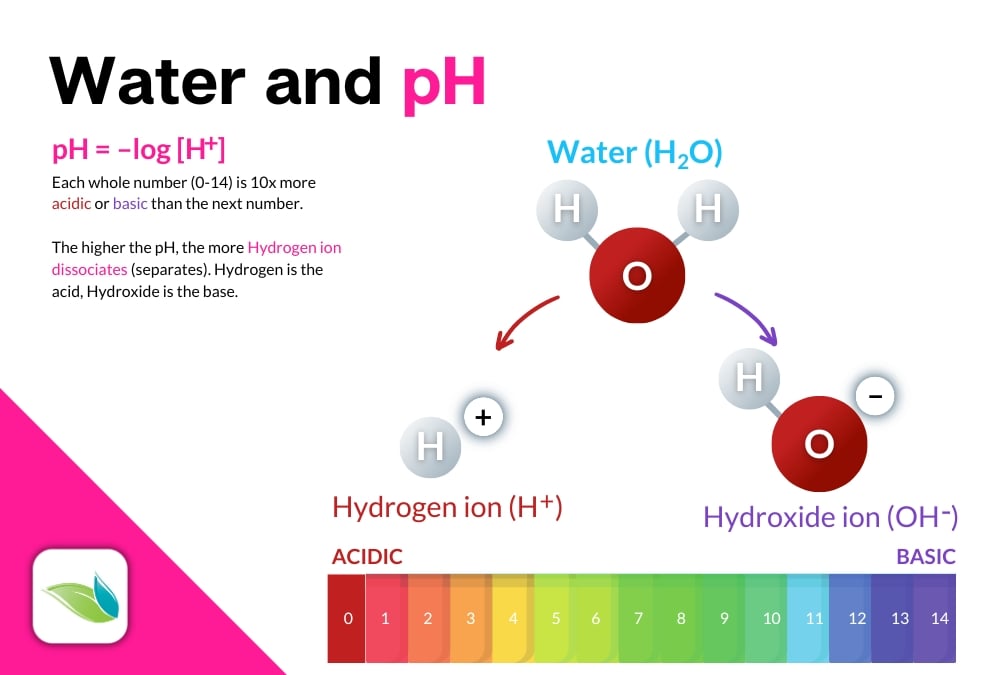 pH diagram, OH- and H+ ions, H2O split, -log H+