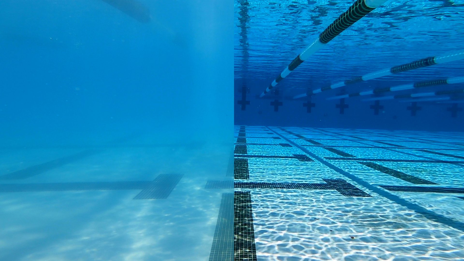 Swimmers Pee in the Pool