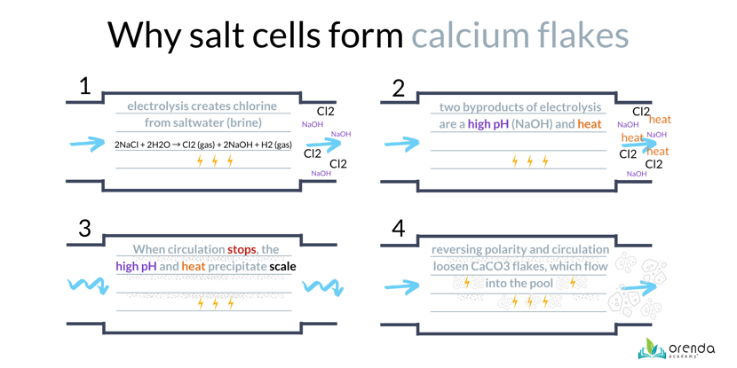 why salt cells form calcium flakes