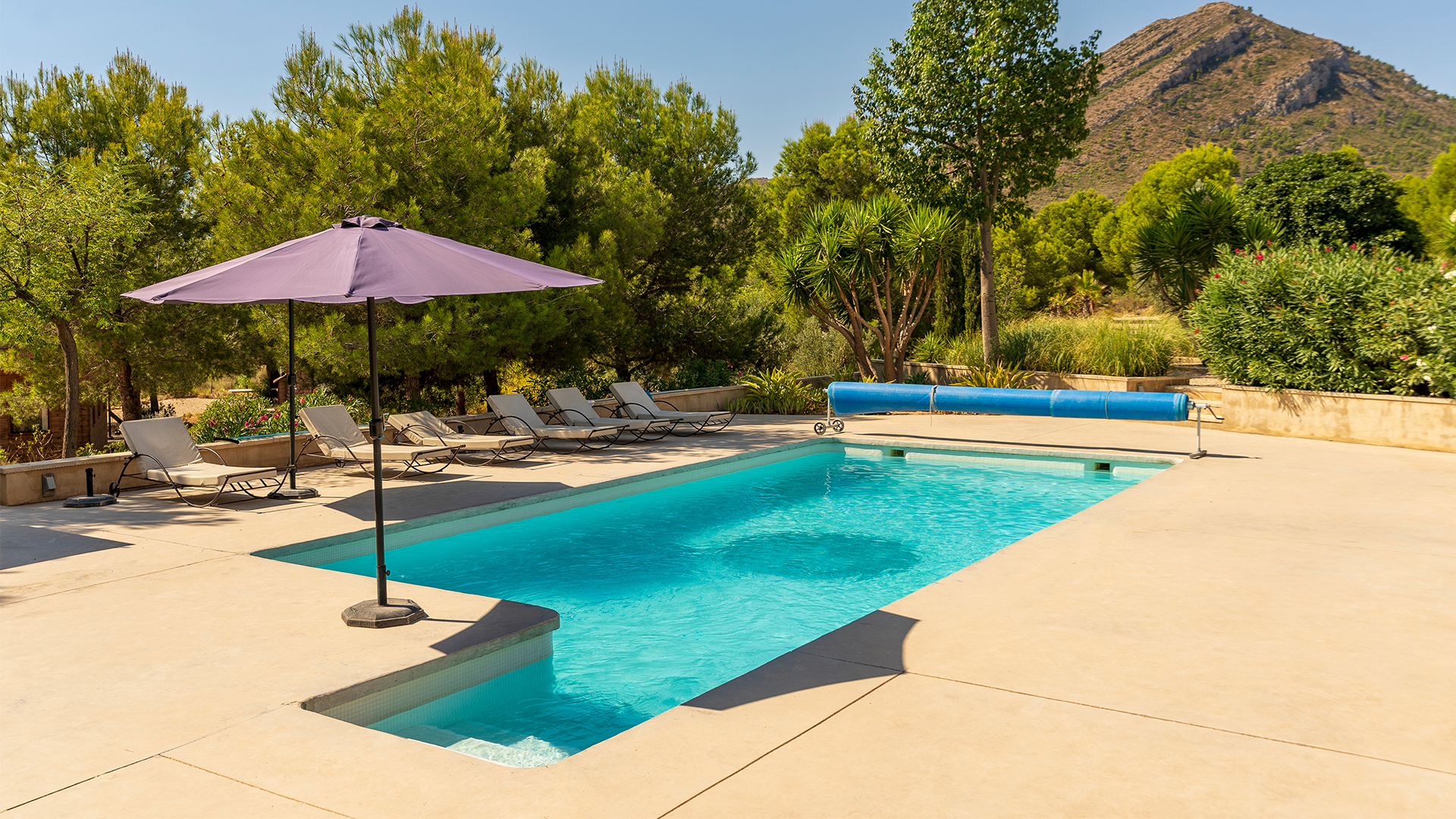 Outdoor swimming pool on a sunny day wth an open umbrella shading the stairs