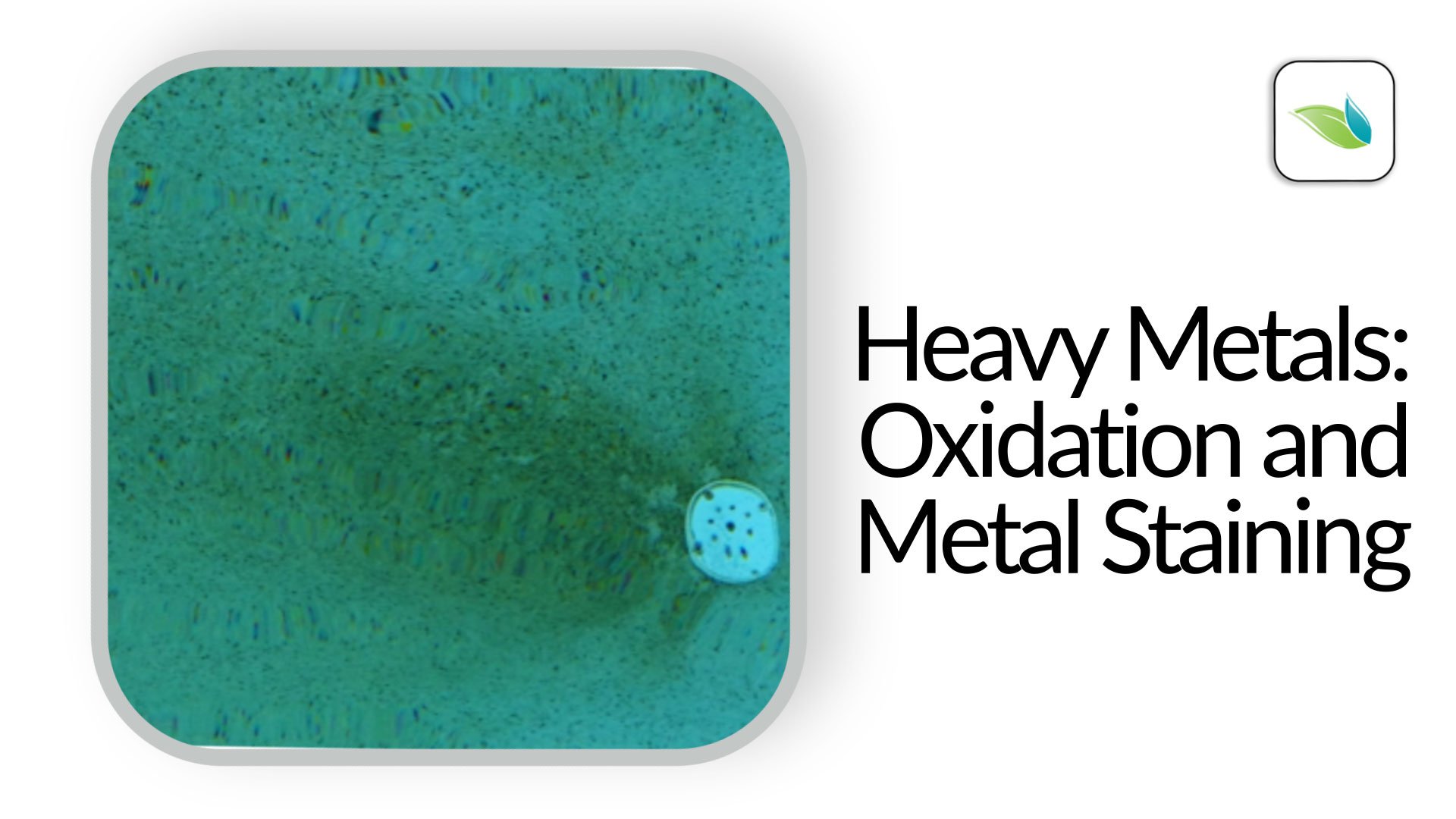 Heavy Metals: Oxidation and Metal Staining (2022)