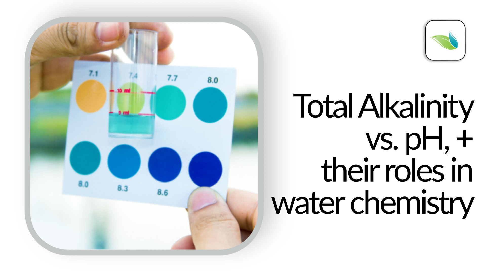 Total Alkalinity vs. pH, and their roles in water chemistry